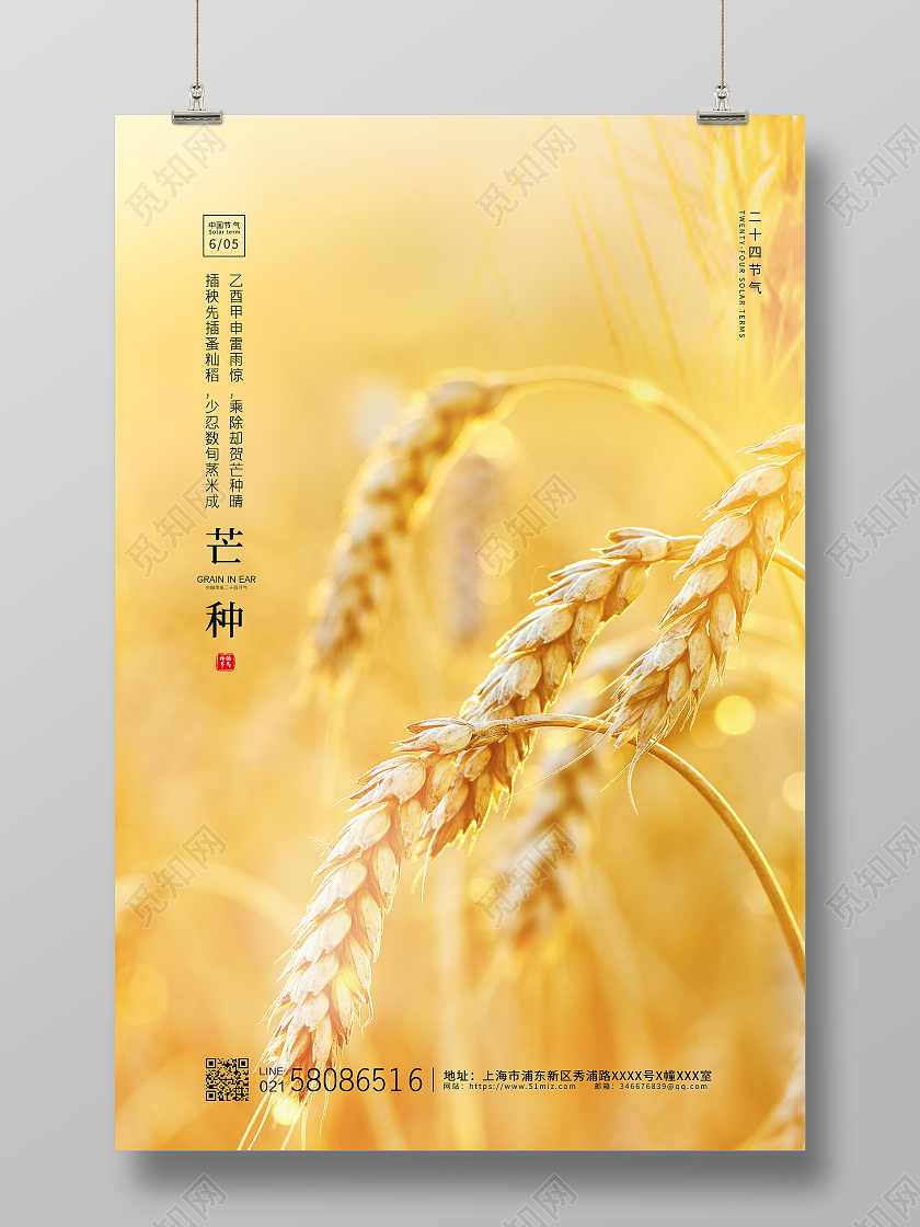 黄色简约麦穗二十四节气芒种宣传海报
