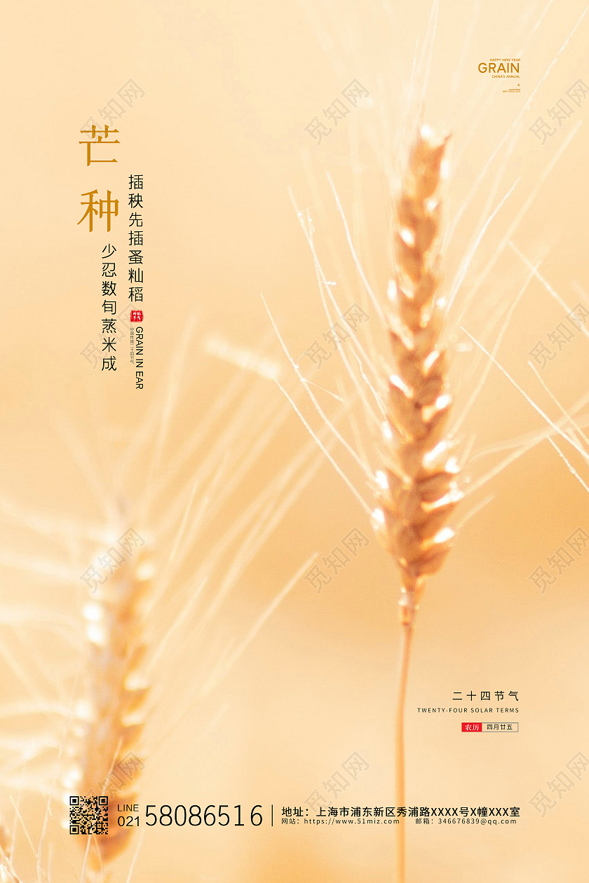 黄色简约实拍二十四节气芒种节气宣传海报设计