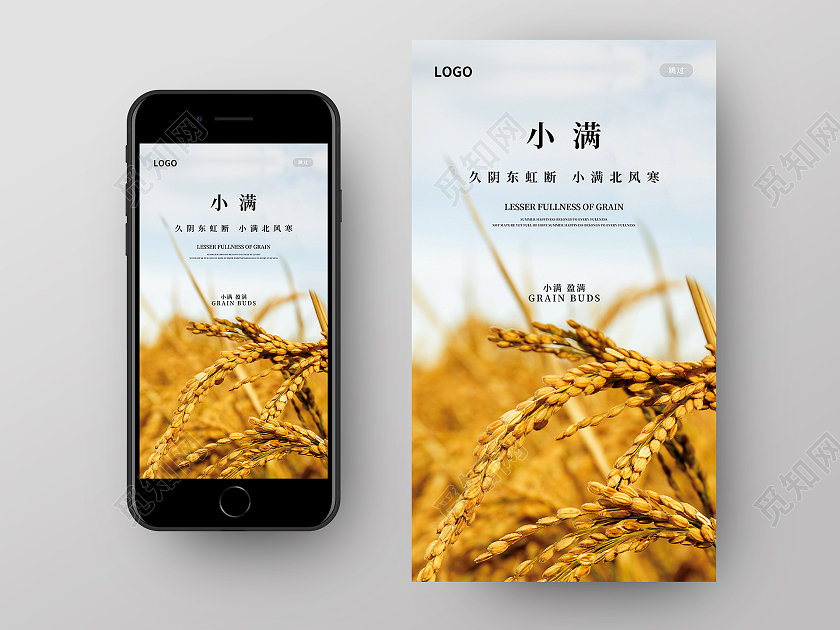 黄色自然小清新传统二十四节气小满手机UI海报小满节日手机海报