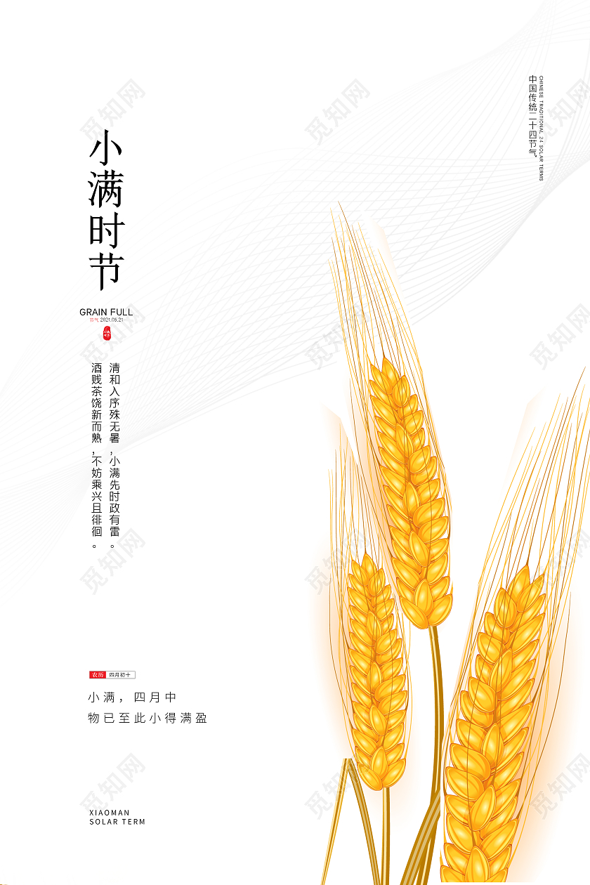 白色简约大气传统24节气二十四节气小满时节宣传海报设计