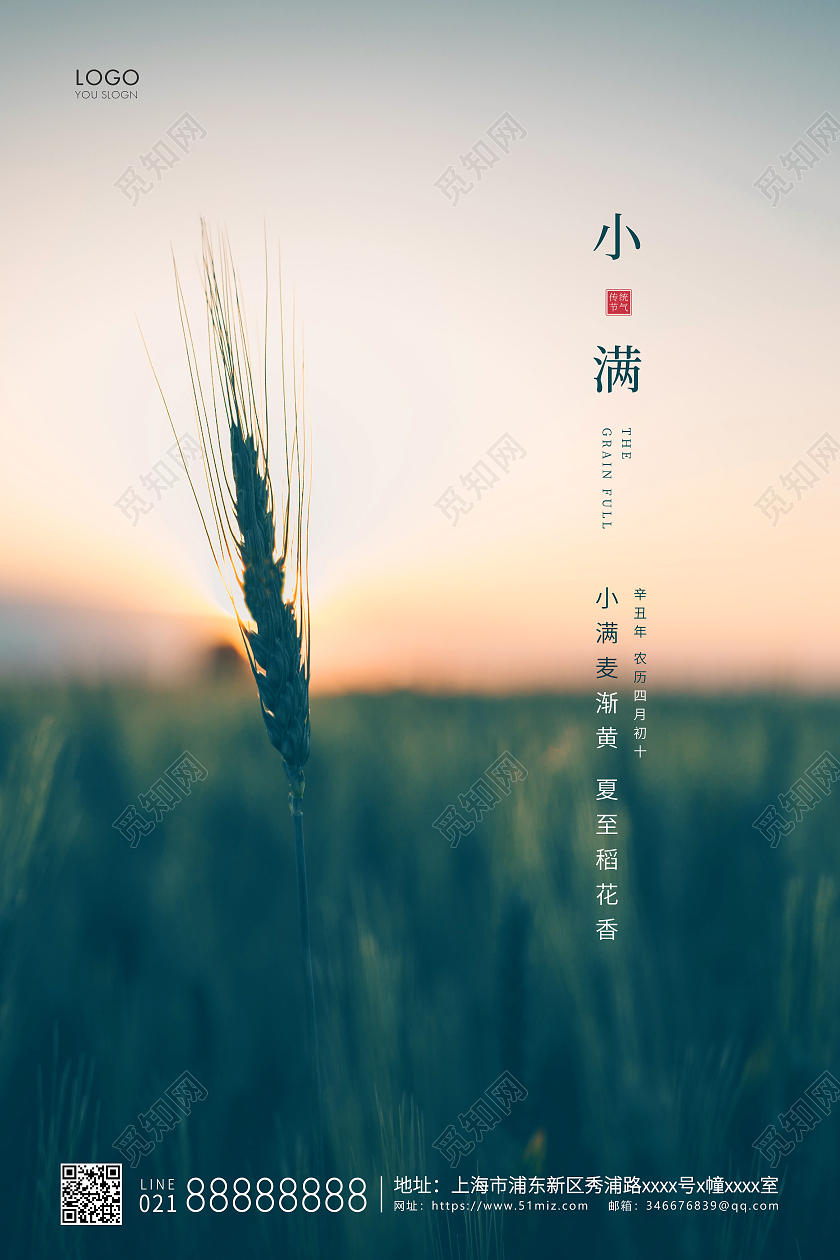 绿色简约二十四节气小满节气宣传海报24节气二十四节气小满
