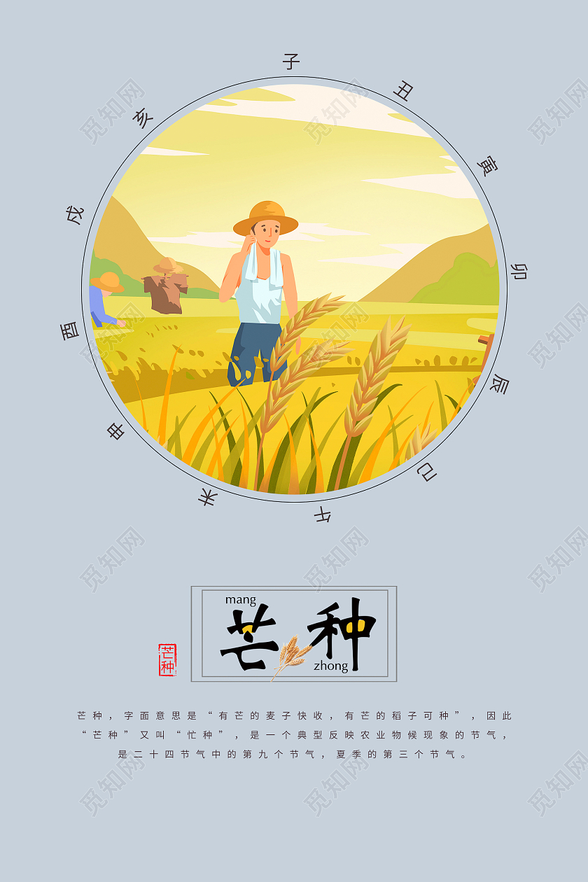 简约清新插画二十四节气芒种海报