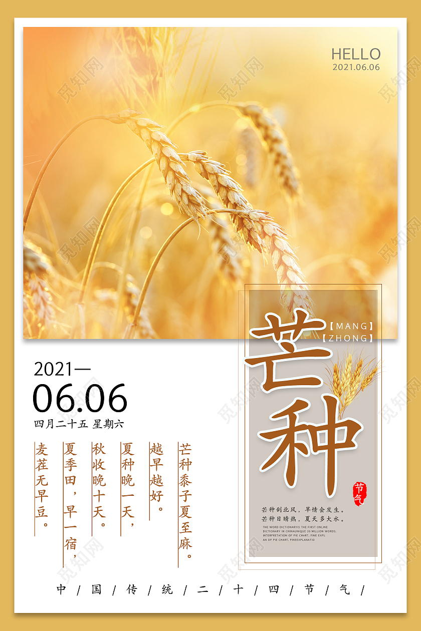 金色简约清新二十四节气芒种海报