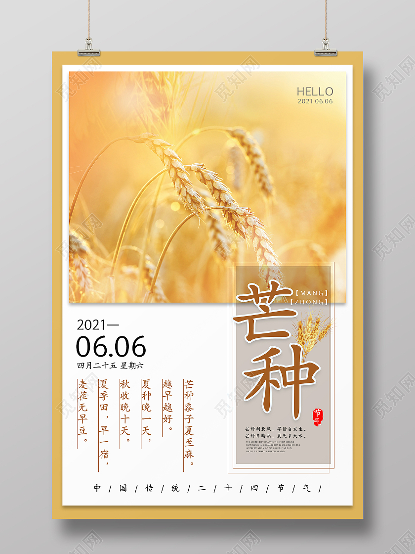 金色简约清新二十四节气芒种海报