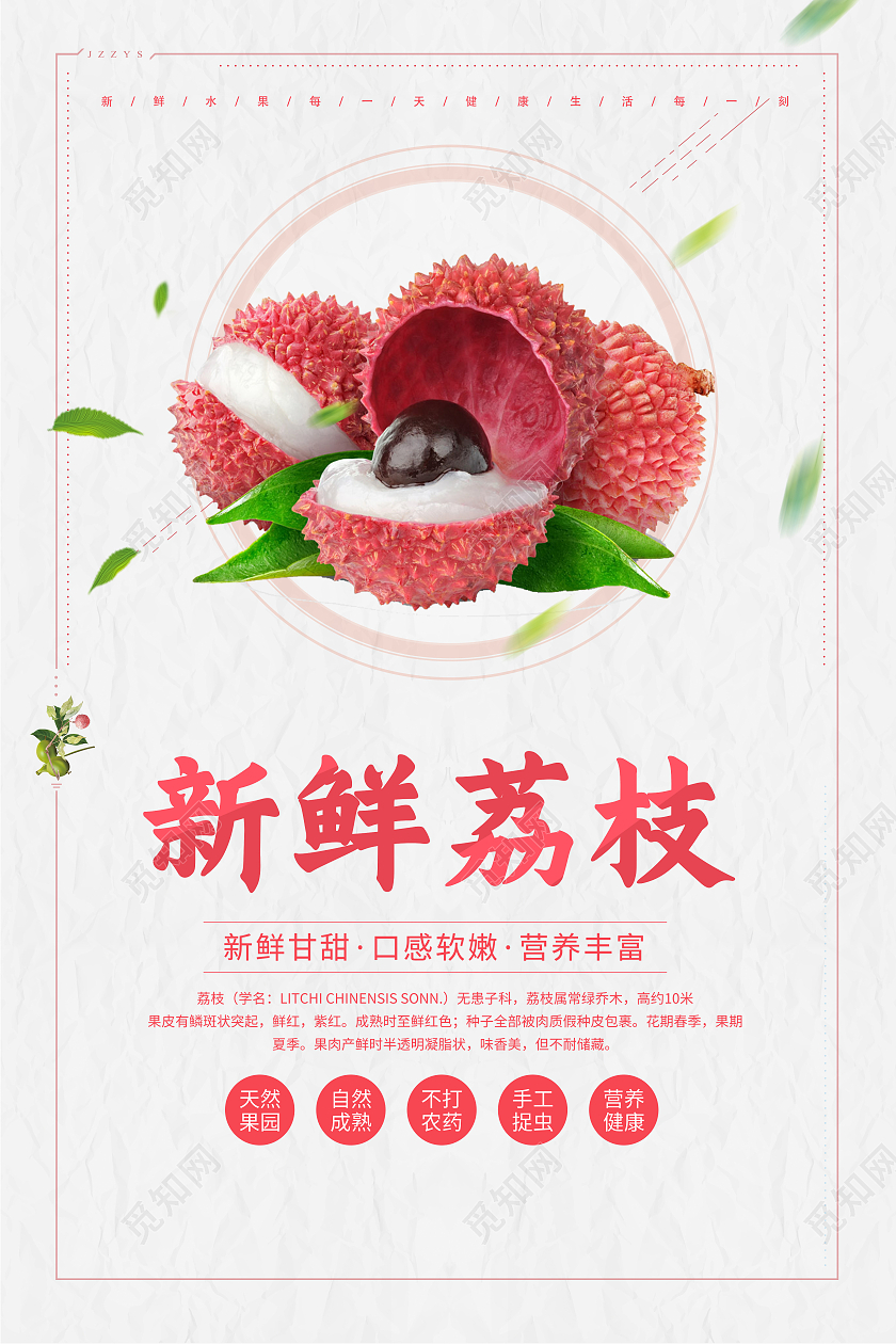 中国风新鲜荔枝宣传海报