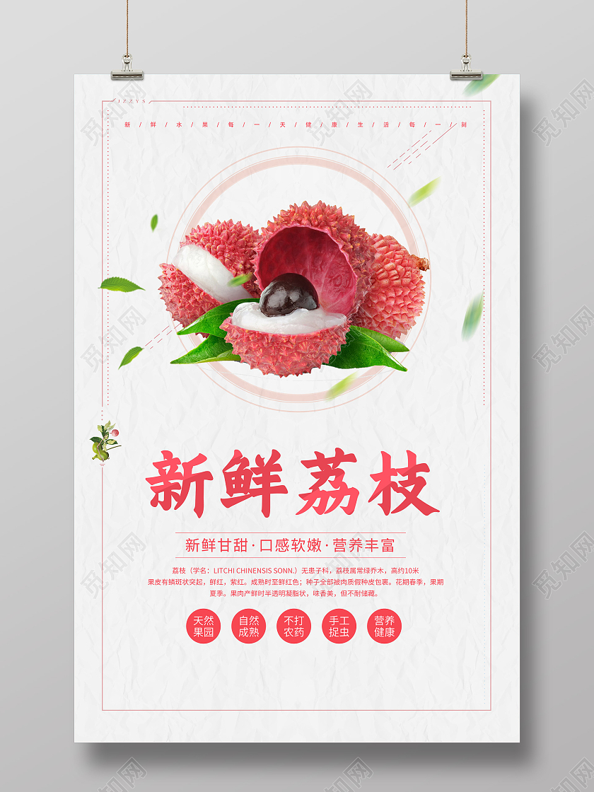 中国风新鲜荔枝宣传海报