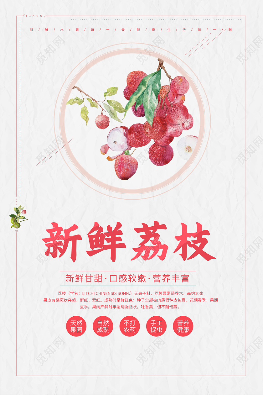中国风新鲜荔枝宣传海报