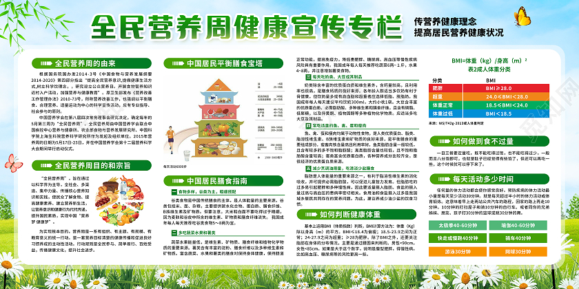 绿色简约全民营养周宣传栏