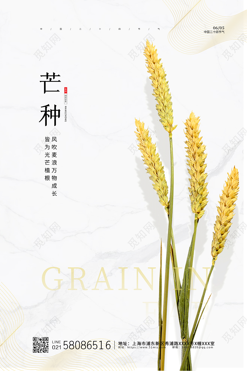 白色简约大气二十四节气小麦芒种节气宣传海报
