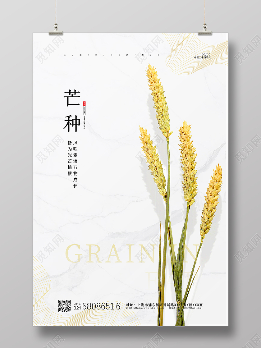 白色简约大气二十四节气小麦芒种节气宣传海报