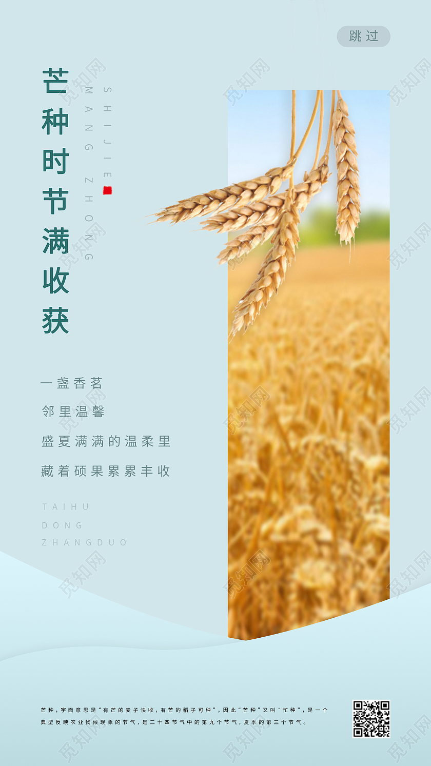 蓝色简约清新芒种时节满收获二十四节气芒种手机UI海报芒种手机海报