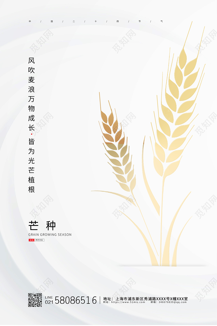 白色简约大气小麦传统二十四节气芒种宣传海报