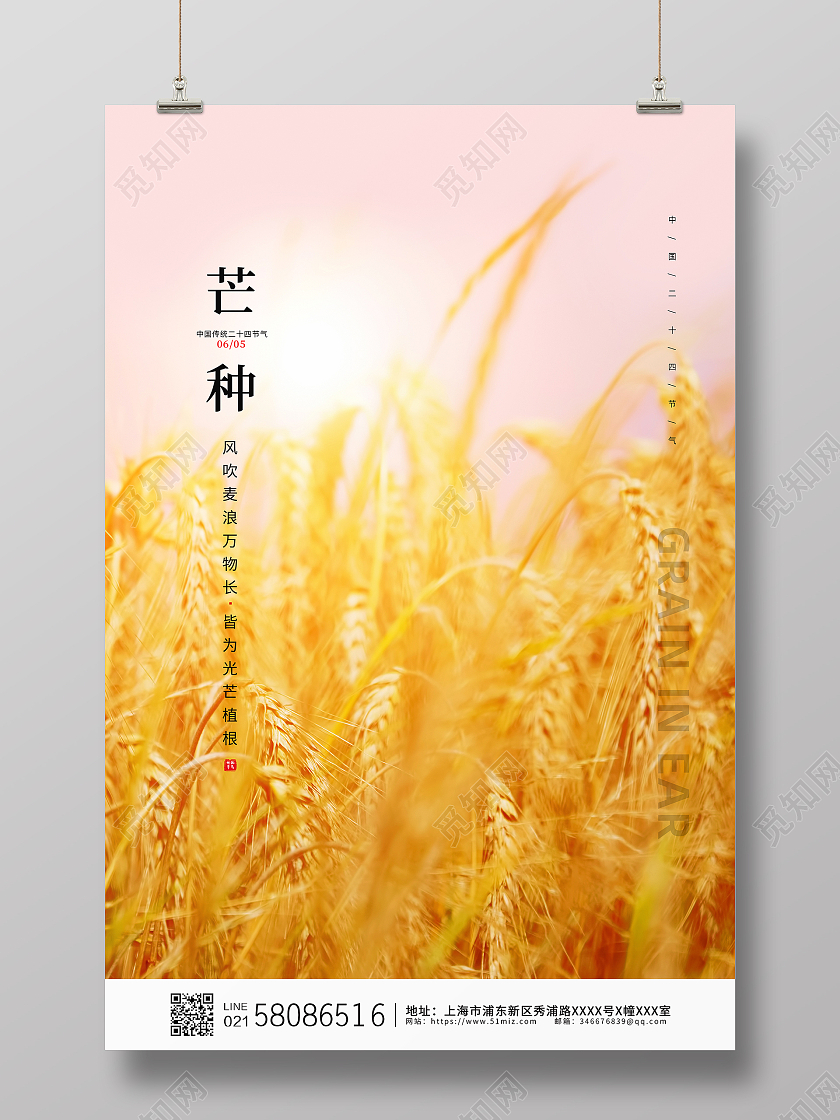 黄色简约麦田传统节日芒种节气海报
