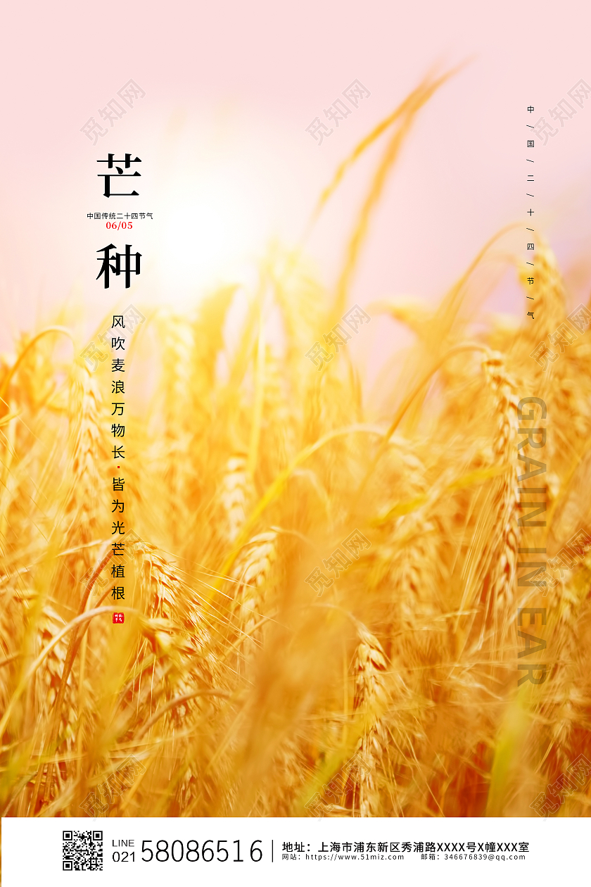 黄色简约麦田传统节日芒种节气海报