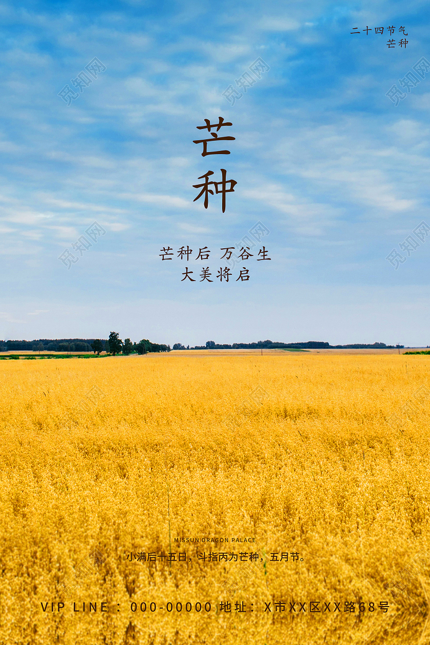 简约清新原野天空小麦大麦粮食夏自然景观二十四节气芒种海报芒种微信
