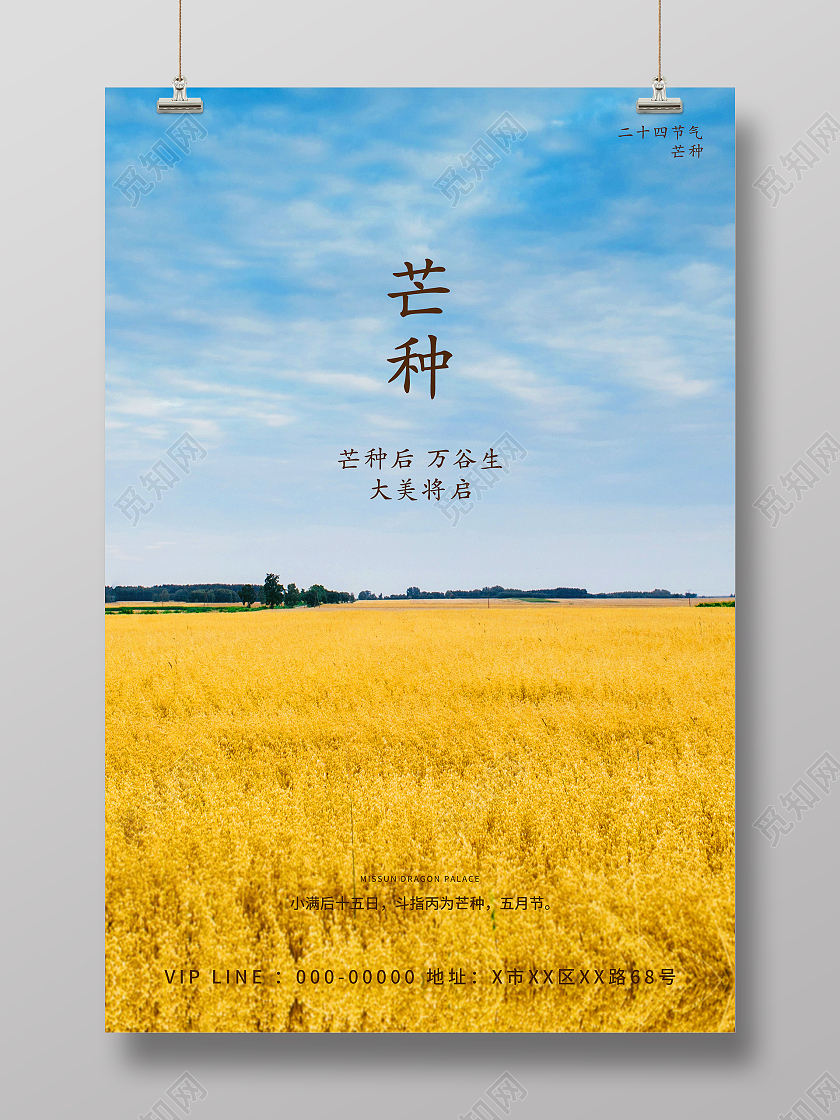 简约清新原野天空小麦大麦粮食夏自然景观二十四节气芒种海报芒种微信