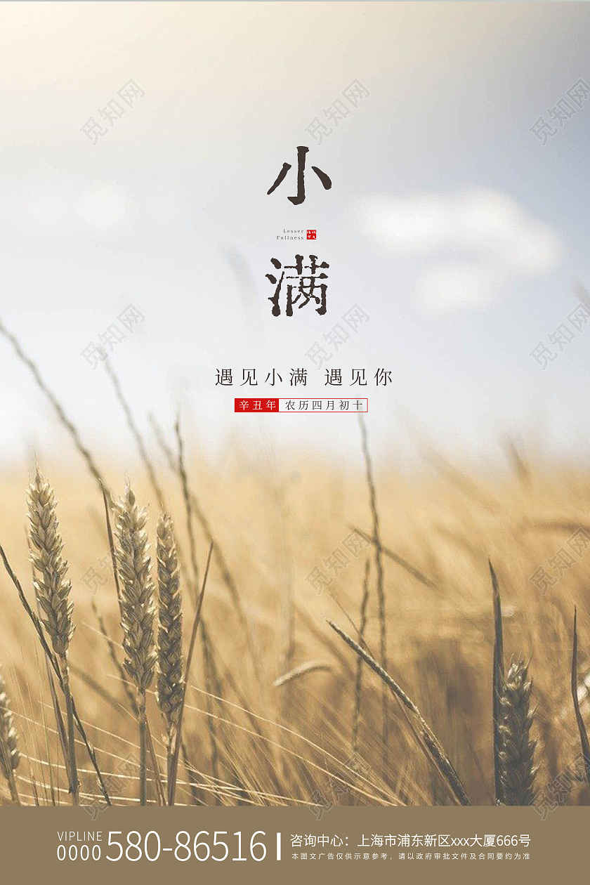黄色清新二十四节气小满稻田海报展板