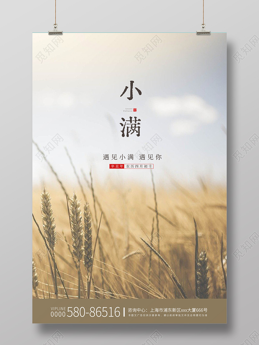 黄色清新二十四节气小满稻田海报展板