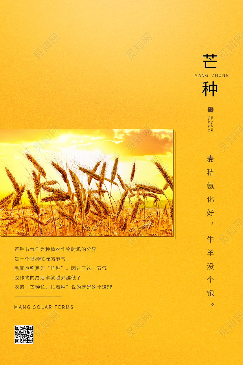 橙色小麦色简约清新二十四节气芒种海报芒种微信