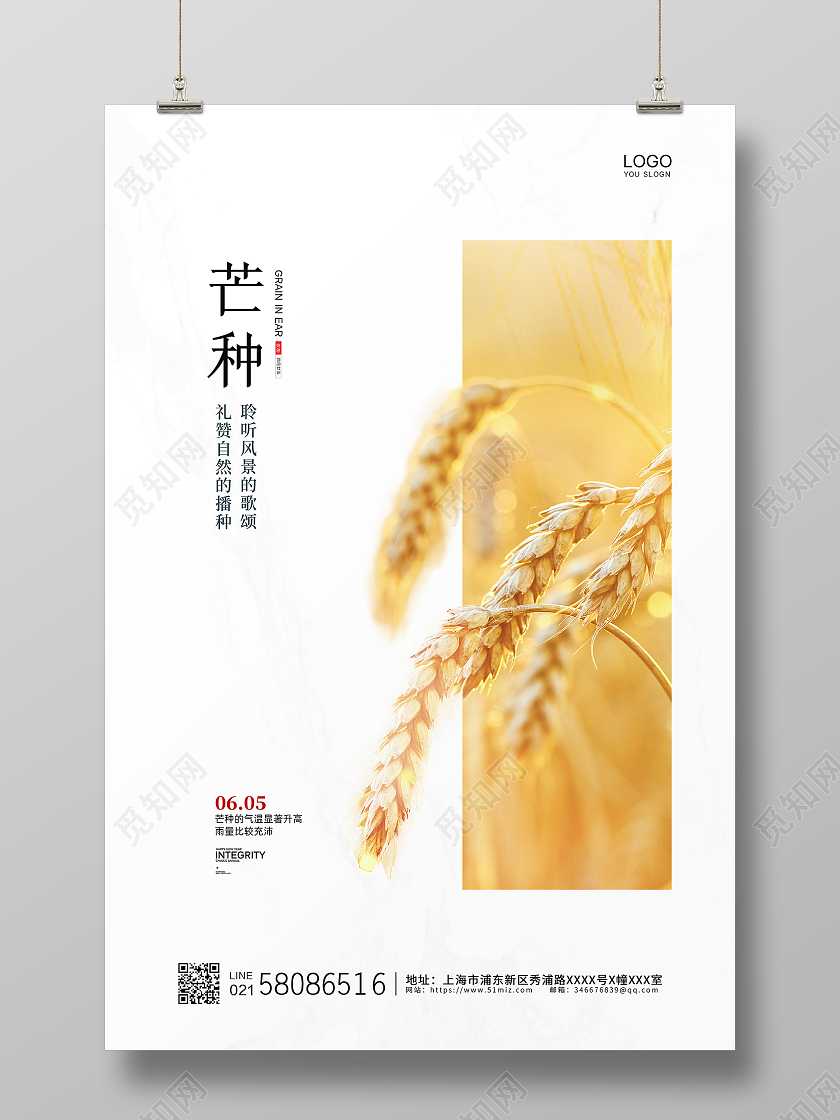 白色简约创意小麦传统二十四节气芒种宣传海报