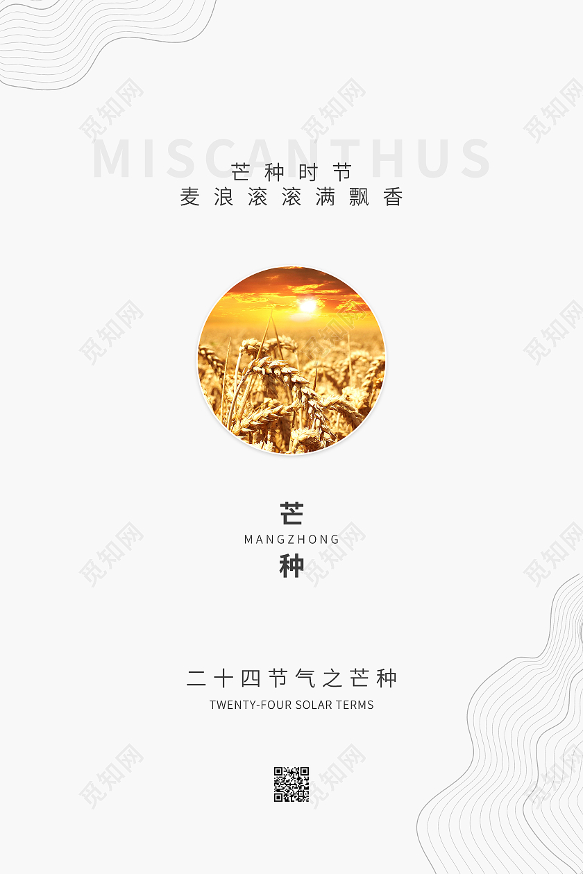 简约清新中国风二十四节气之芒种海报芒种手机海报