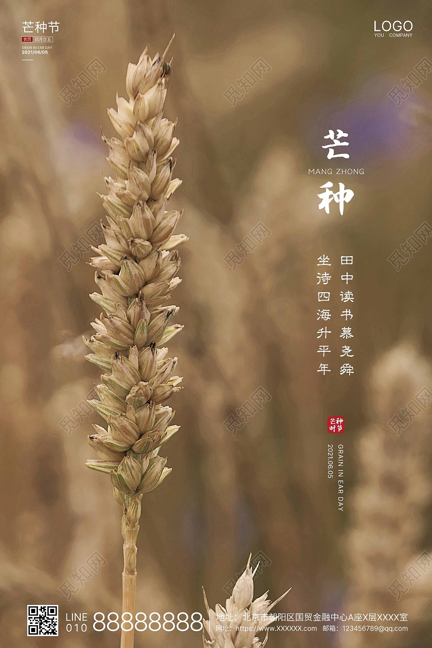 黄色实拍简洁芒种二十四节气海报二十四节气