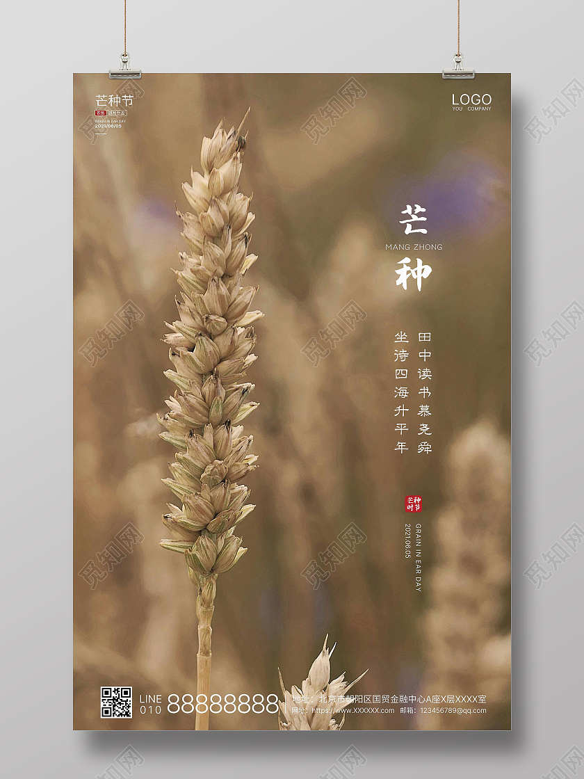 黄色实拍简洁芒种二十四节气海报二十四节气