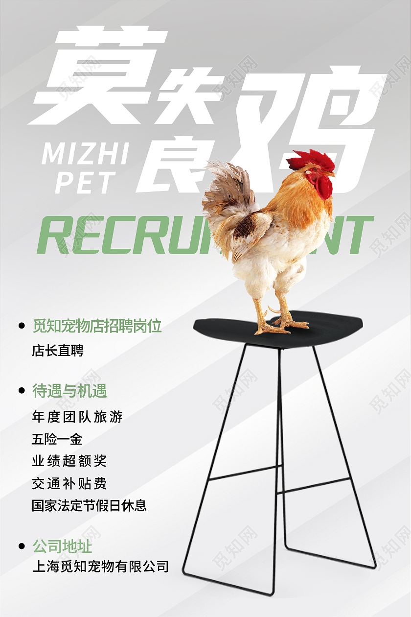 灰色渐变创意宠物店莫失良鸡招聘海报