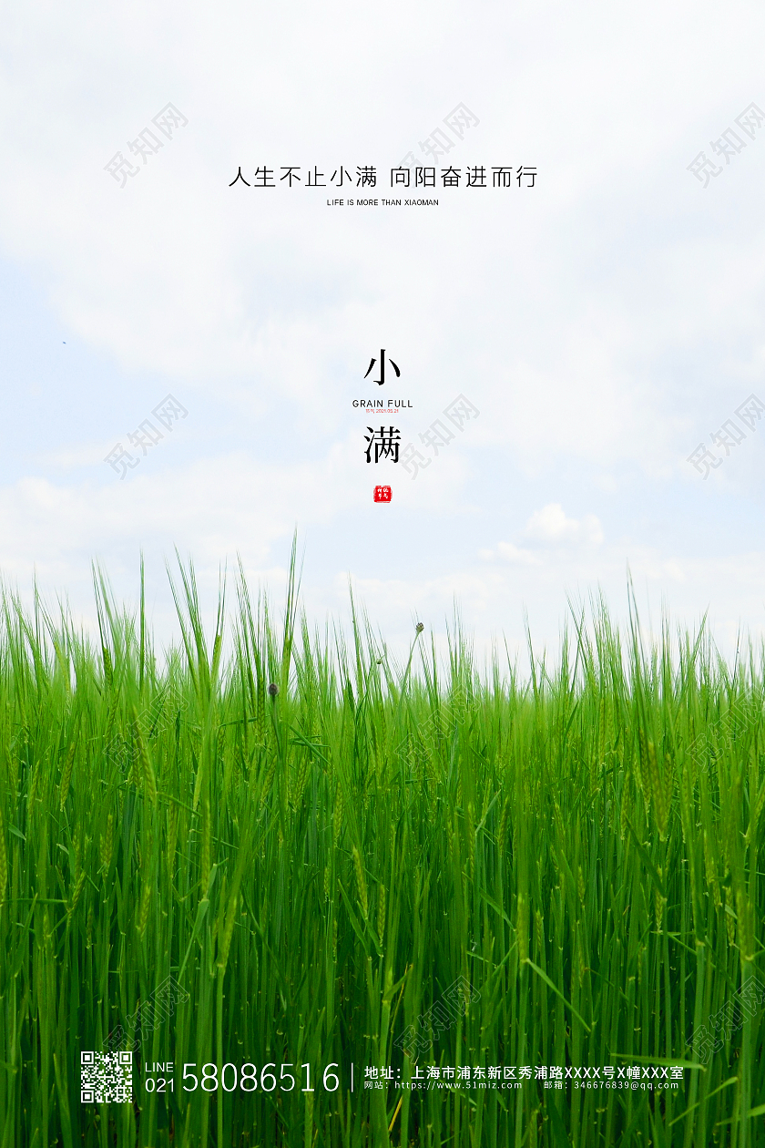 绿色简约小麦实拍传统二十四节气小满海报24节气二十四节气小满