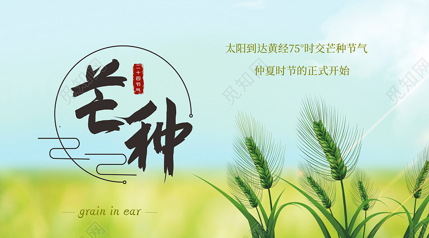 蓝绿色简约风芒种微信号封面