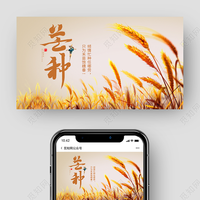 黄色小麦麦穗植物小满二十四节气芒种微信公众号封面海报