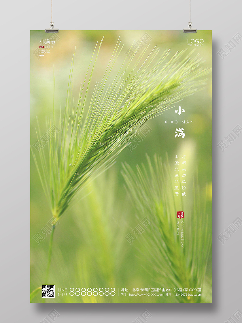 绿色实拍简洁小满二十四节气海报二十四节气24节气二十四节气24节气二十四节气小满