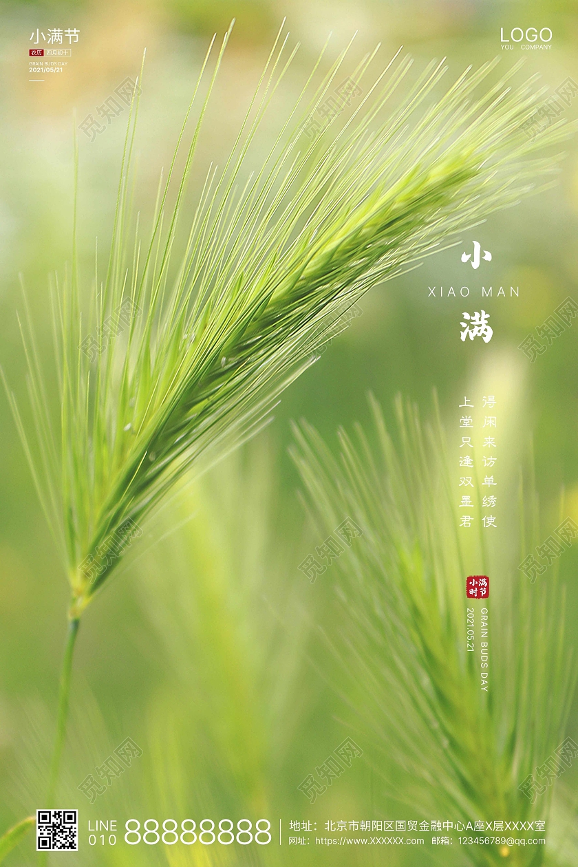 绿色实拍简洁小满二十四节气海报二十四节气24节气二十四节气24节气二十四节气小满