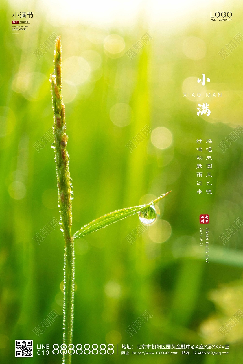 绿色实拍简洁小满二十四节气海报二十四节气24节气24节气2424节气二十四节气小满