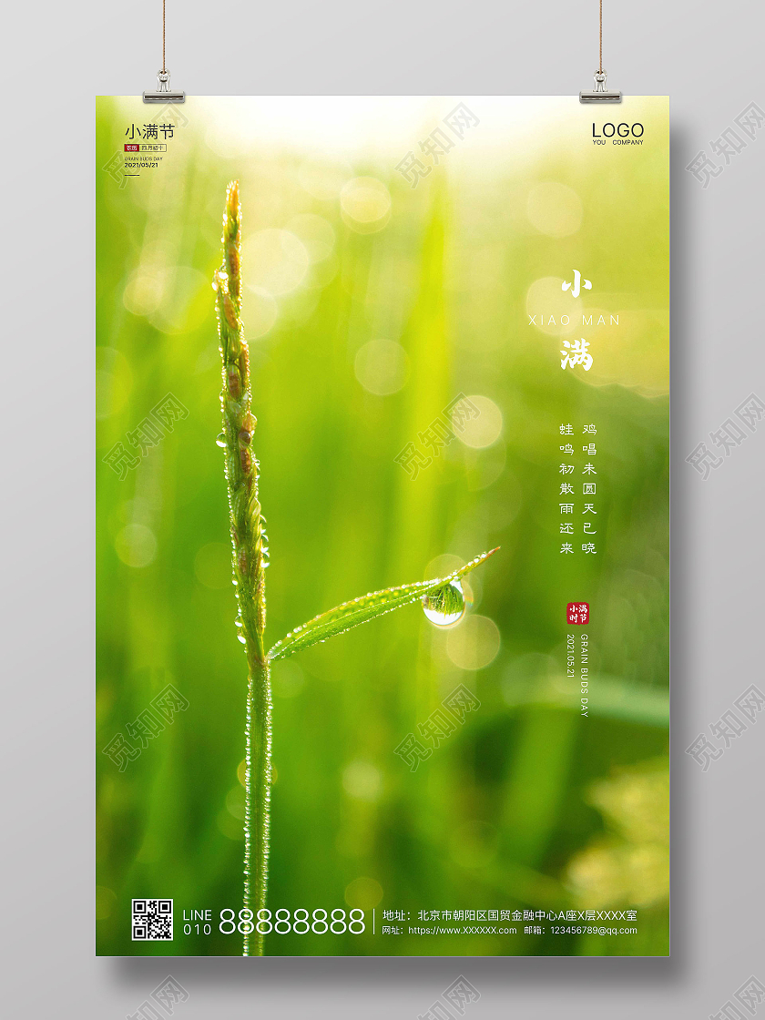 绿色实拍简洁小满二十四节气海报二十四节气24节气24节气2424节气二十四节气小满