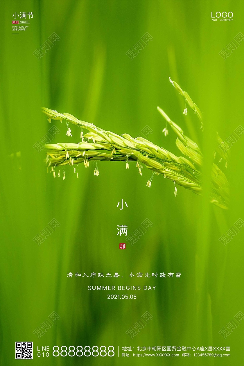 绿色实拍简洁小满二十四节气海报二十四节气24节气24节气224节气二十四节气小满