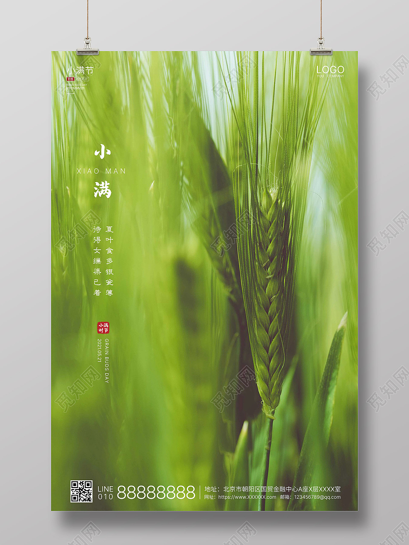 绿色实拍简洁小满二十四节气海报24节气二十四节气小满