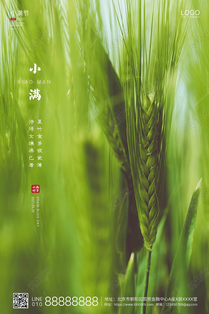 绿色实拍简洁小满二十四节气海报24节气二十四节气小满