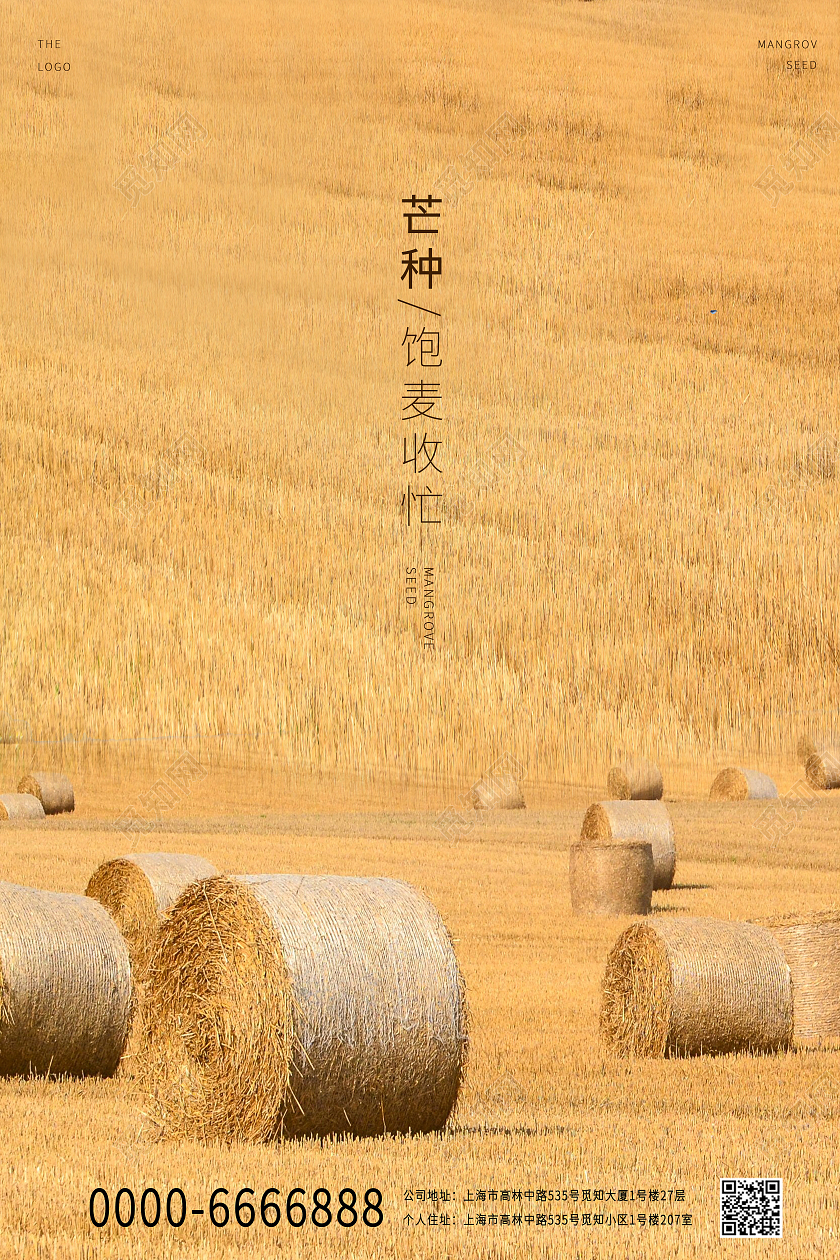 金黄色大麦芒种中国传统节气宣传海报