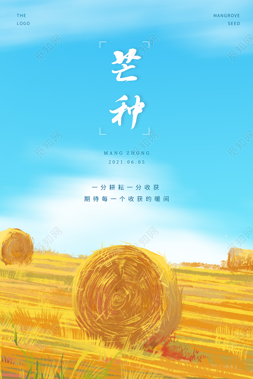 蓝色小清新大麦芒种中国传统节气宣传海报