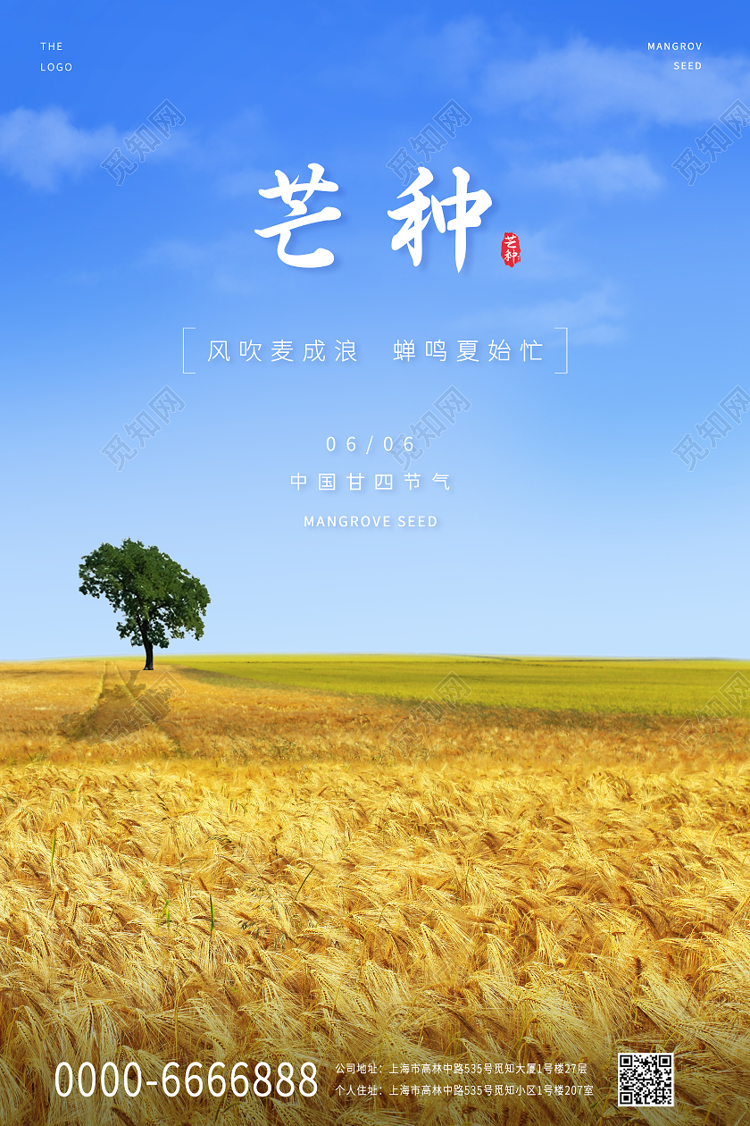 蓝色小清新麦子中国芒种传统节气宣传海报