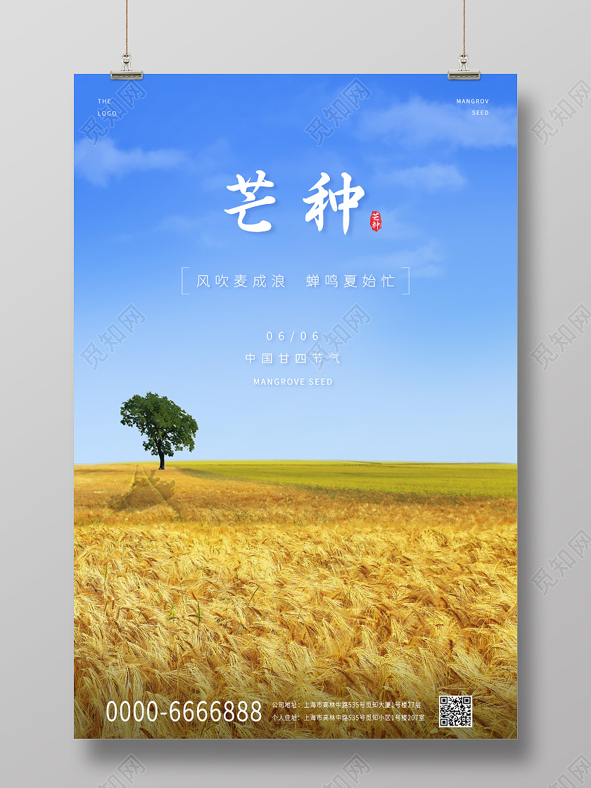 蓝色小清新麦子中国芒种传统节气宣传海报