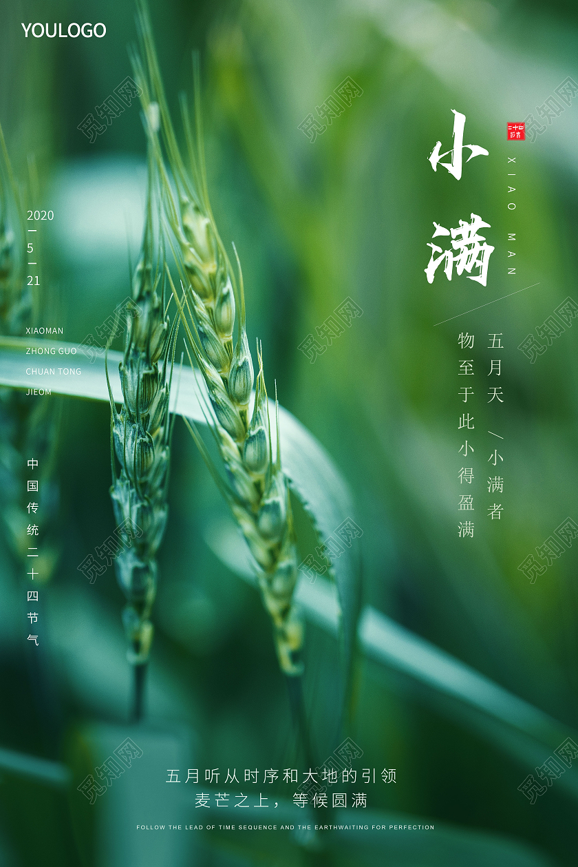 绿色小满海报二十四节气海报24节气二十四节气小满