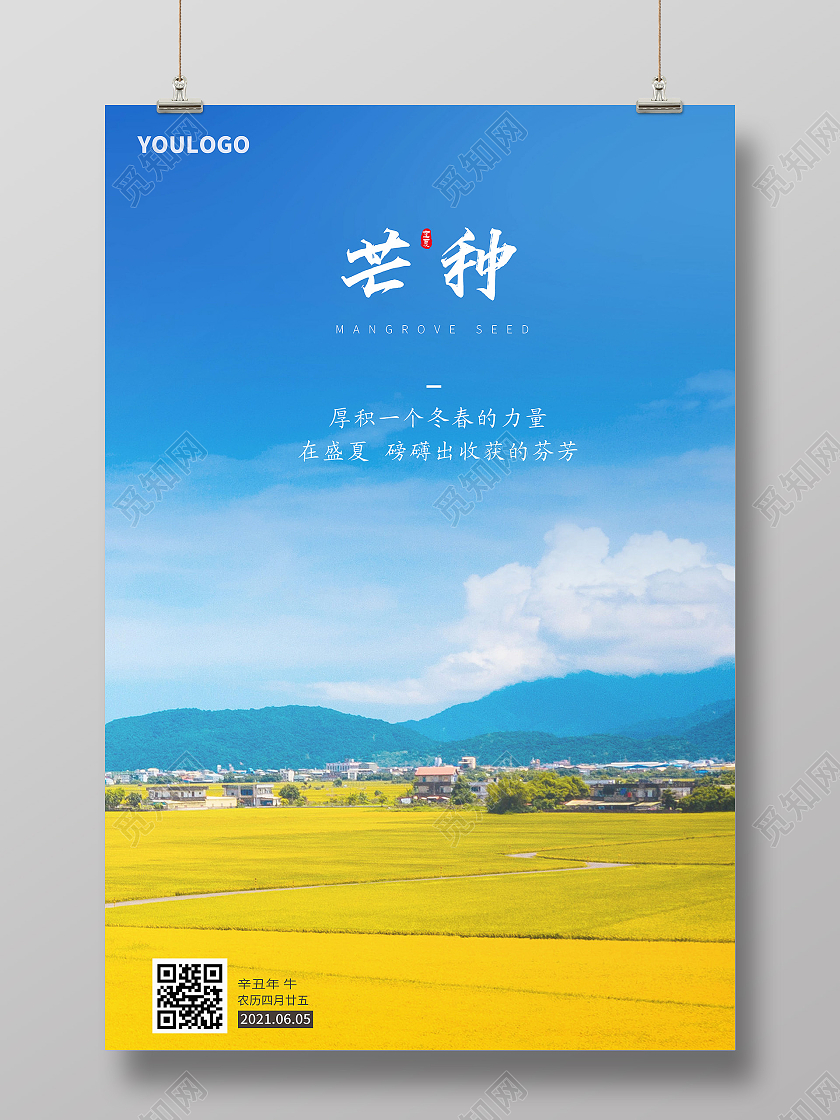 简约芒种海报二十四节气海报