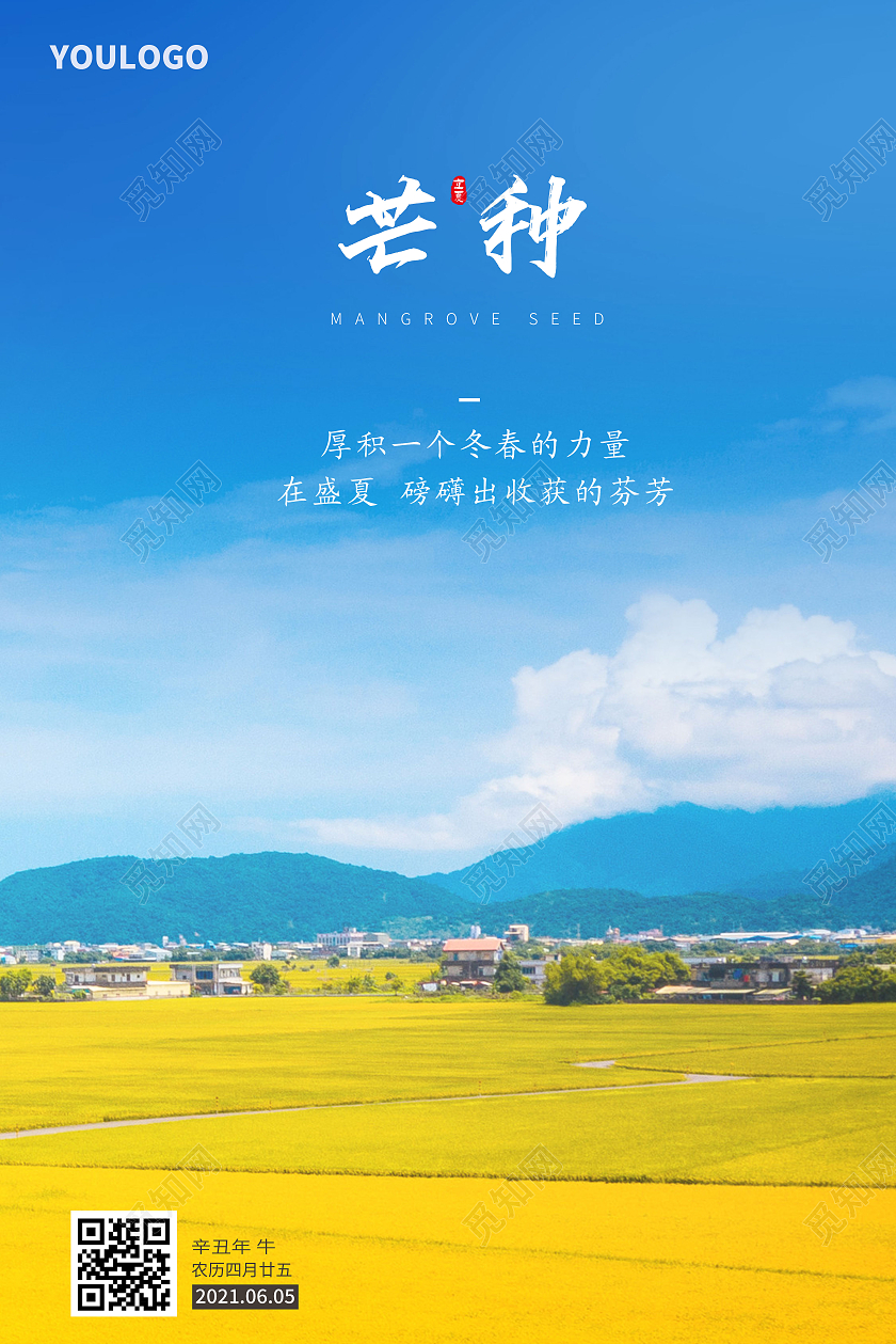 简约芒种海报二十四节气海报