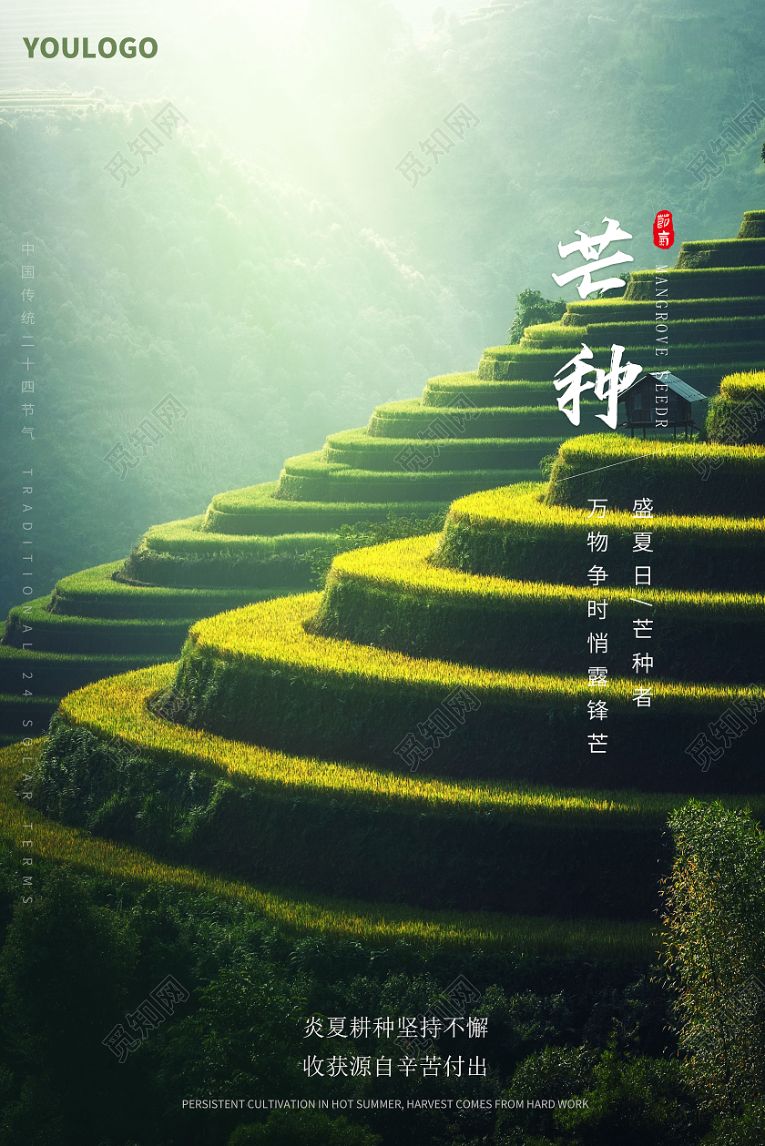 芒种海报二十四节气海报