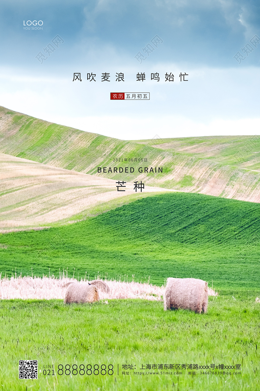 绿色简约二十四节气芒种节气宣传海报