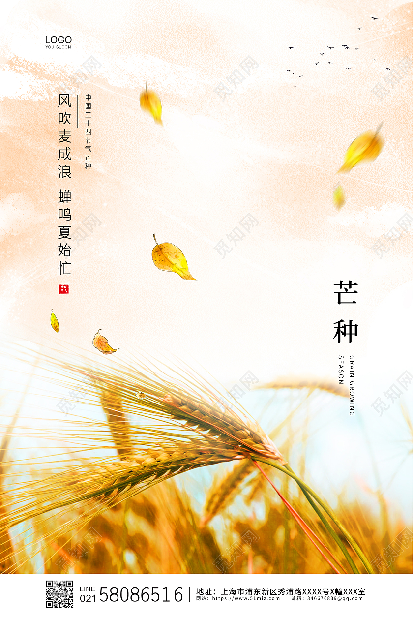 黄色简约大气麦穗二十四节气芒种节气宣传海报