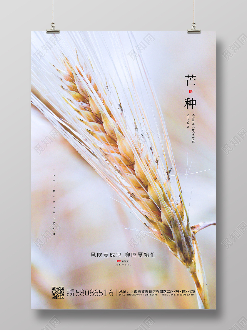 简约大气小麦实拍二十四节气芒种节气宣传海报