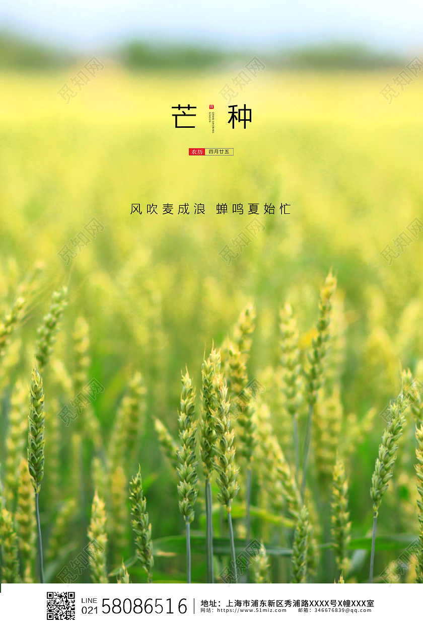黄色简约大气麦田二十四节气芒种宣传海报